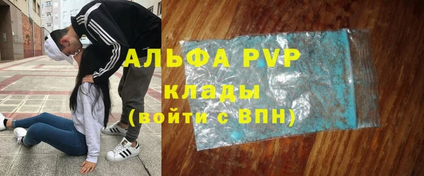 гашик Пестово