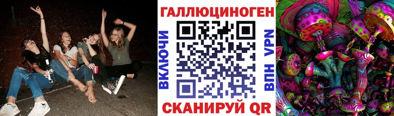 наркотики  Сясьстрой  hydra ССЫЛКА  Псилоцибиновые грибы Psilocybine cubensis 